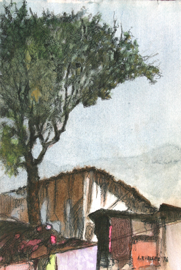 Armand F Vallée Artist