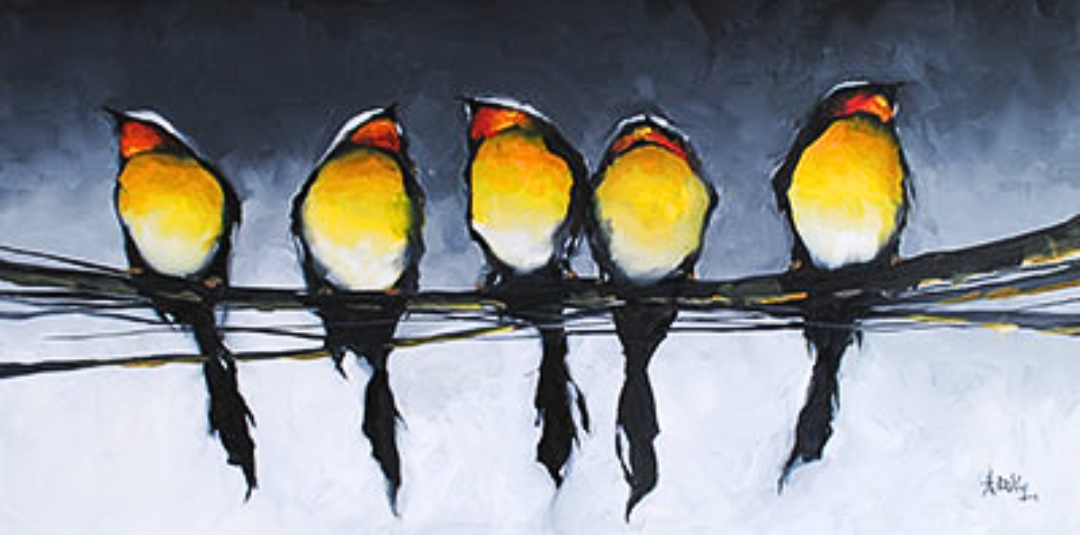 Harold Braul