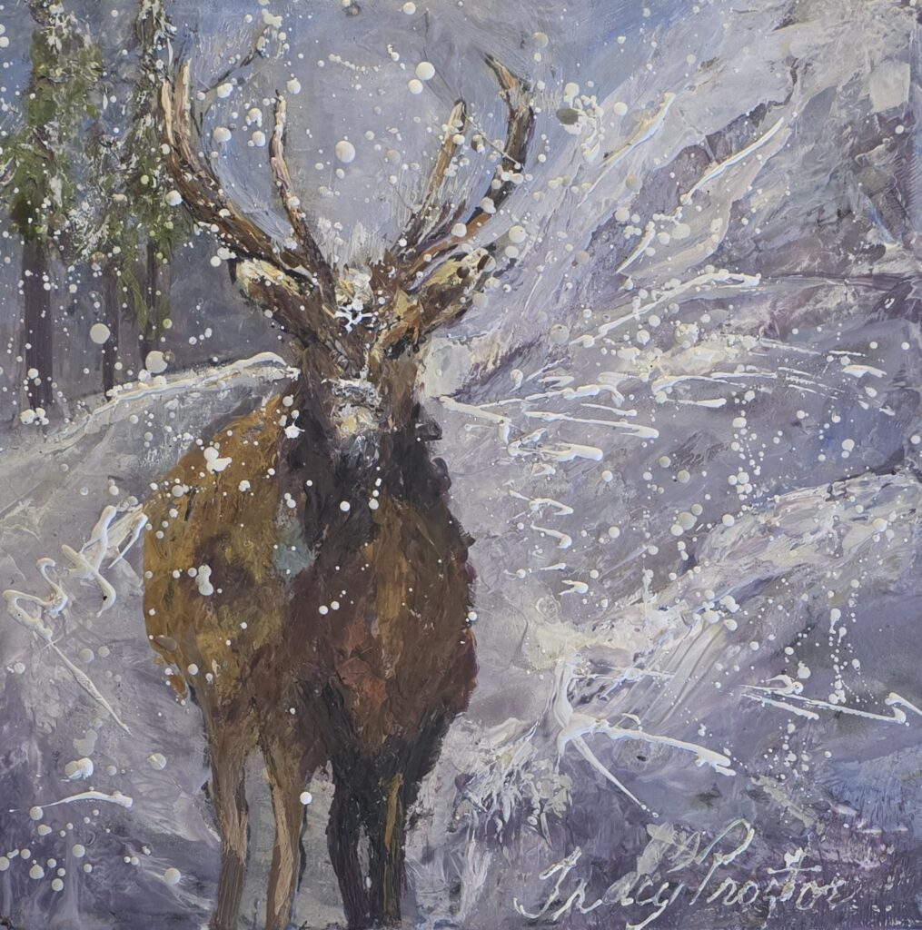 Tracy Proctor Paintings