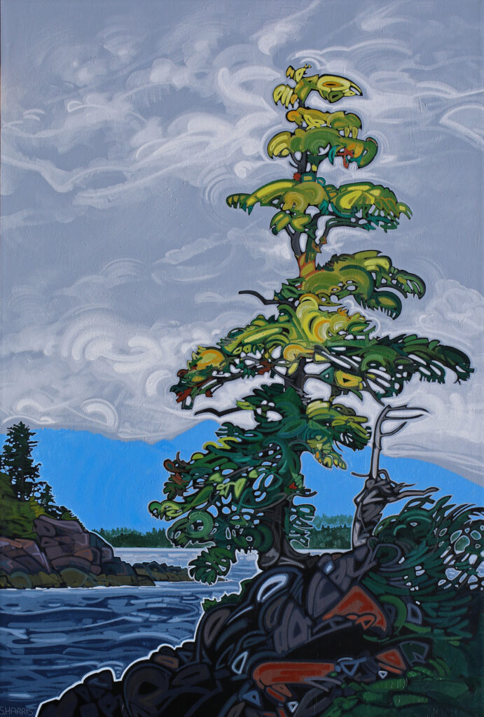 Sandra Harris Artist